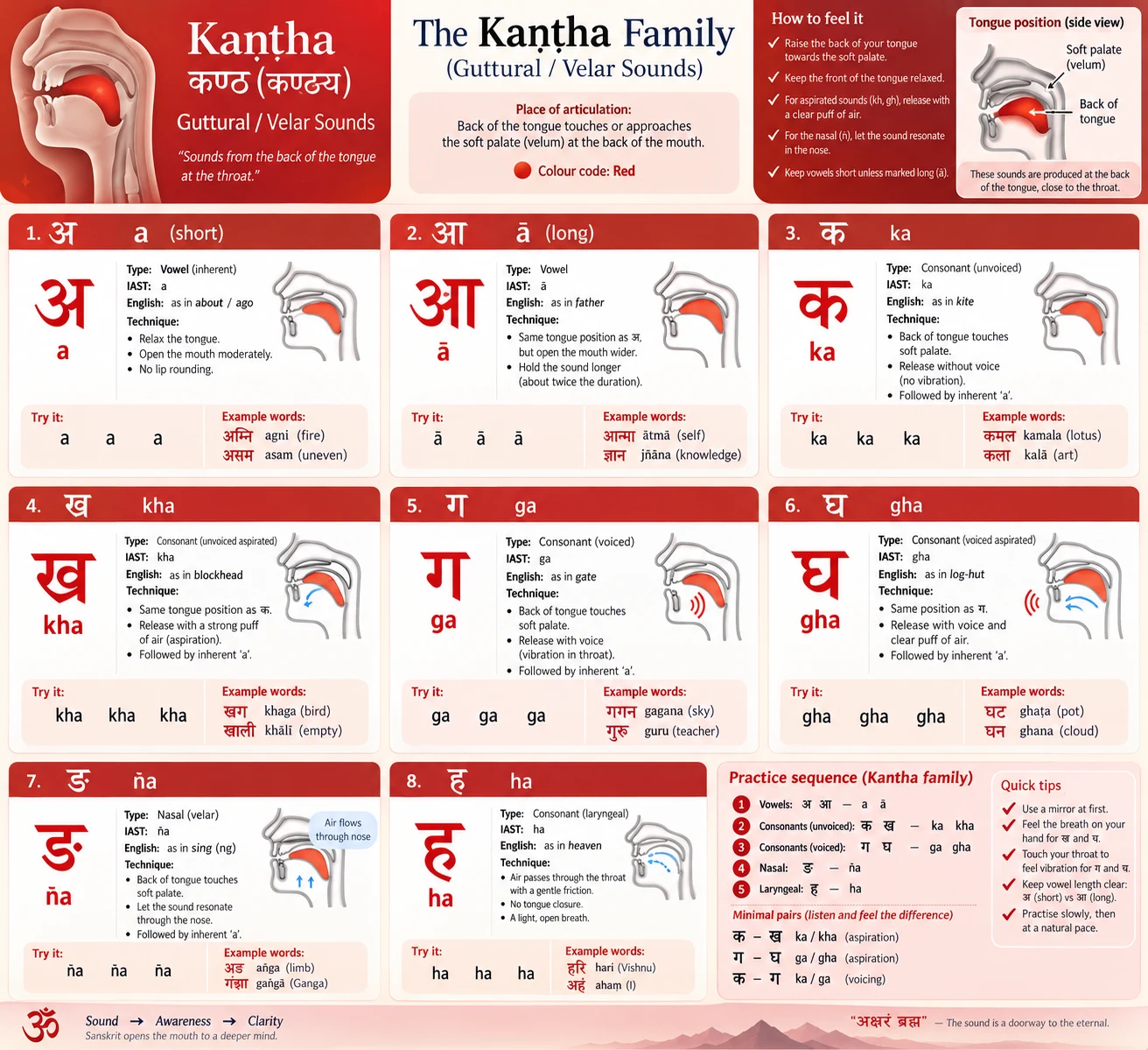 Sanskrit learning card for the Kaṇṭha family